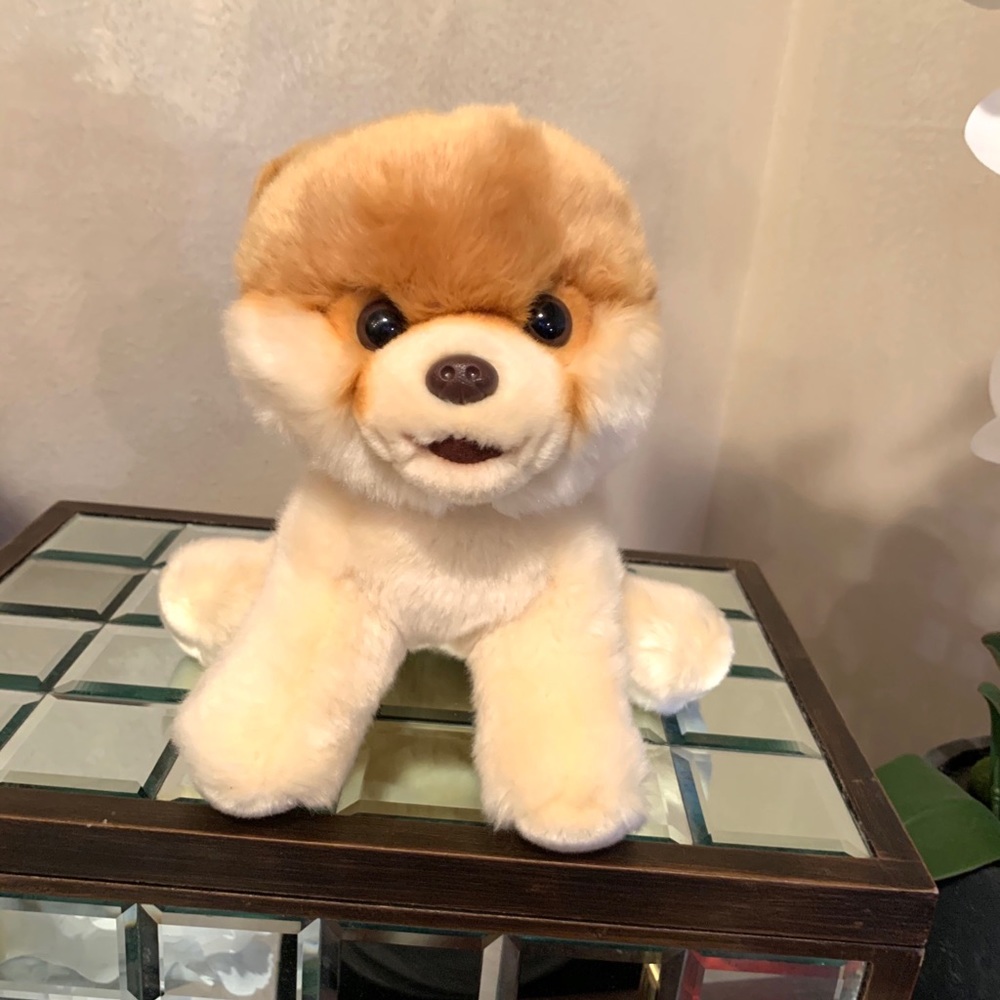 Boo Plush Stuffed Dog & Book Set - Picture 3 of 7